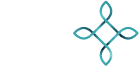 Infinity IP Logo